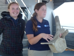 Crew members explained the vertebrae bones of a whale to the people on board