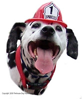 fire safety