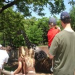 zoo