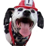 fire safety