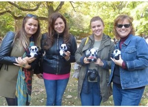 Diane and group and pandas