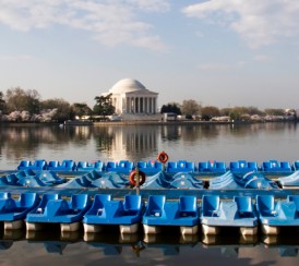 paddleboats_tidalbasin