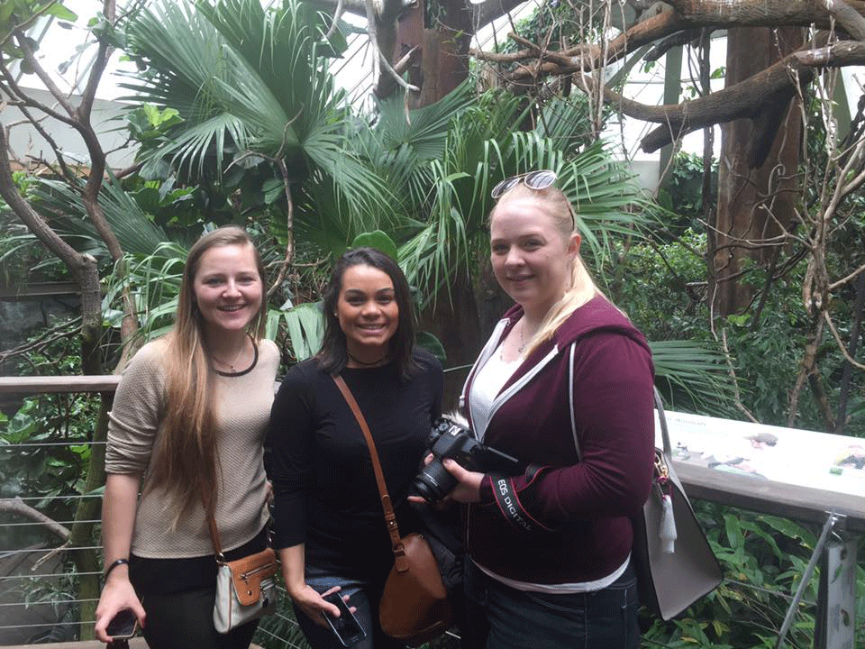Three au pairs enjoys a day at the Central Park Zoo