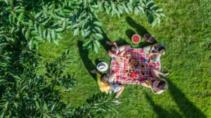 family picnic during the summer